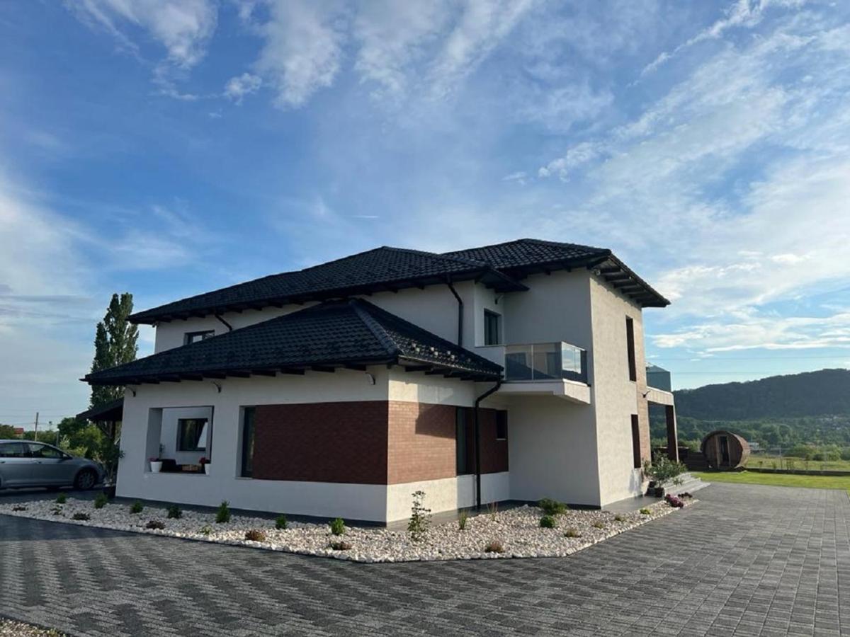 Casa Ambientt Hotel Curtea De Arges Ngoại thất bức ảnh